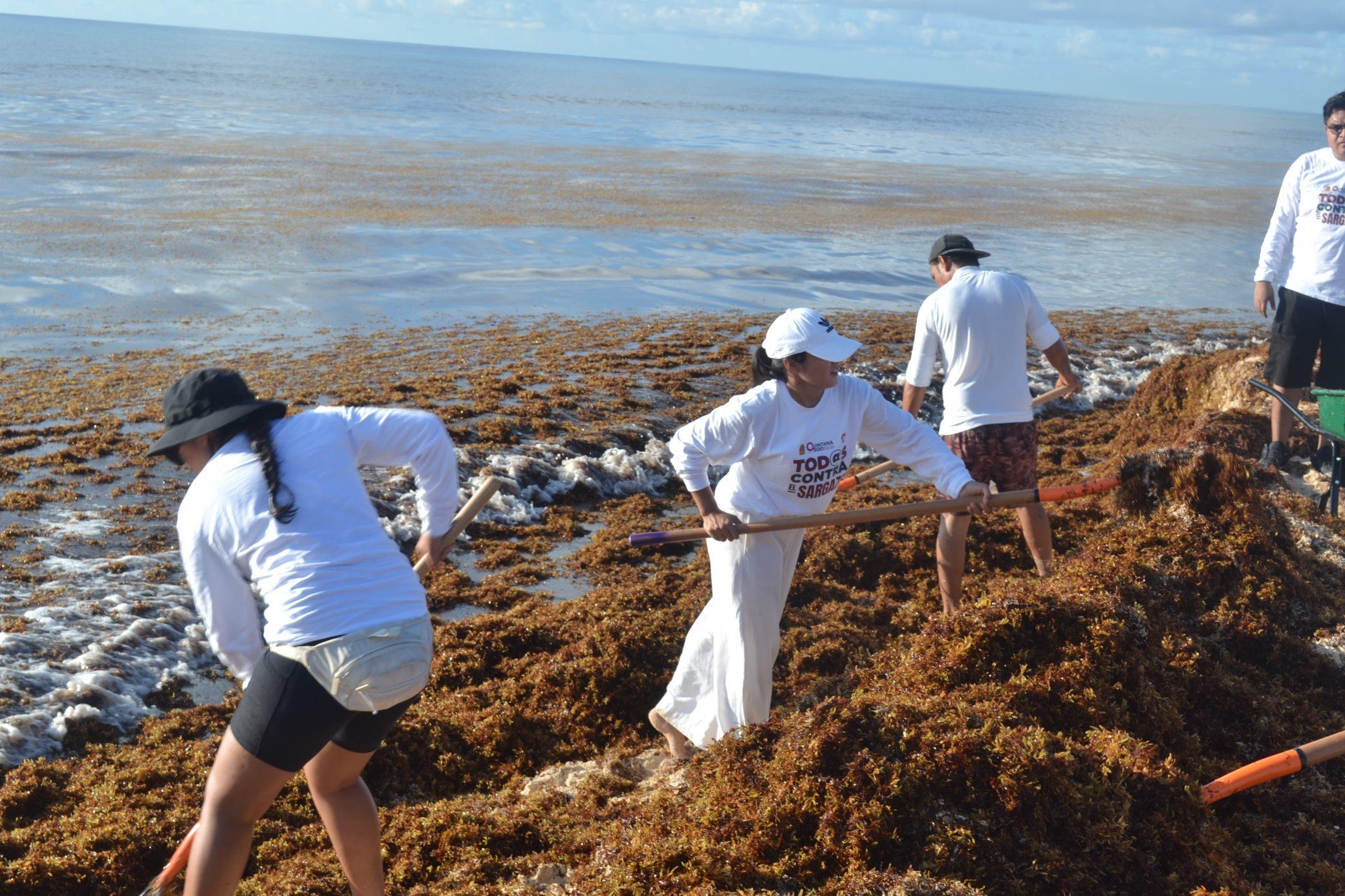 Más de 2,000 voluntarios participaron en la limpieza de playas en Cancún